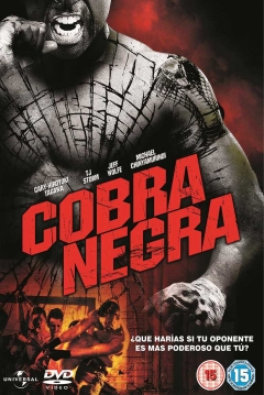 Poster Cobra Negra