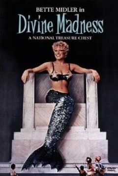 Poster Divine Madness