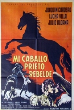 Poster Mi caballo prieto rebelde