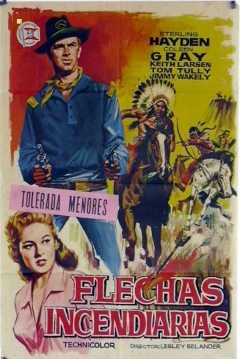 Poster Flechas Incendiarias