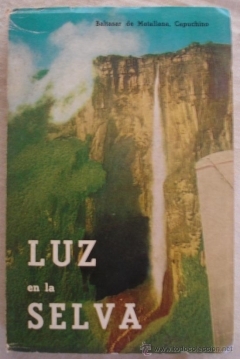 Poster Luz en la selva