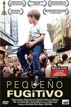 Poster El Pequeño Fugitivo