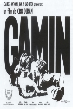 Poster Gamín