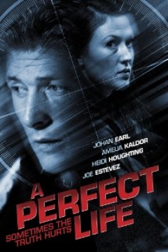 Poster A Perfect Life