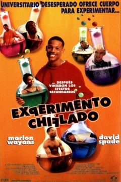 Poster Experimento Chiflado
