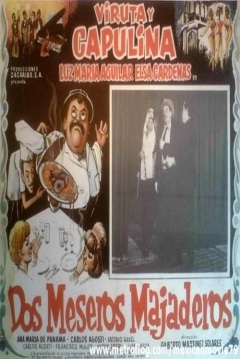 Poster Dos meseros majaderos