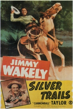 Poster Silver Trails