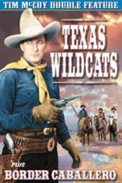 Poster Texas Wildcats