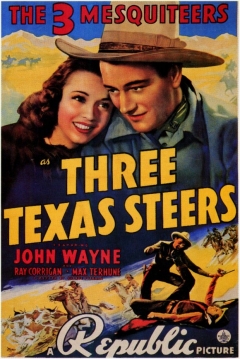 Poster Three Texas Steers