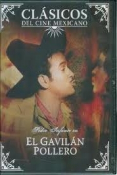 Ficha El gavilán pollero