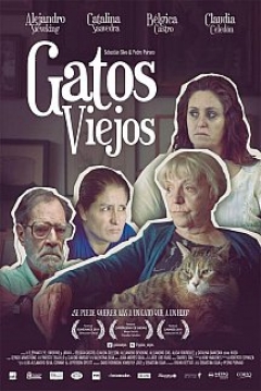 Poster Gatos Viejos