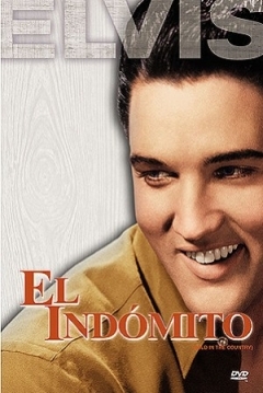 Poster El indómito
