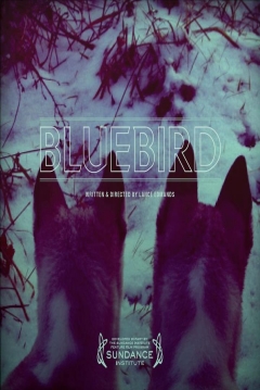 Poster Bluebird