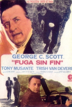 Poster Fuga sin Fin