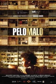 Poster Pelo Malo
