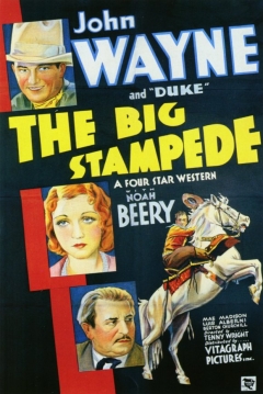 Poster The Big Stampede