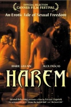 Poster El último harén