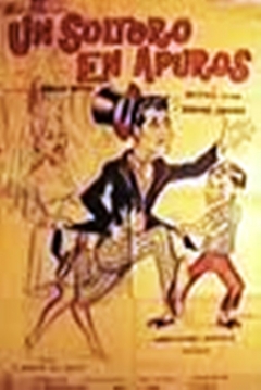 Poster Un Soltero en Apuros
