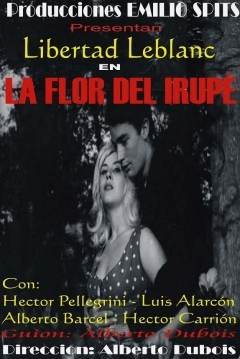 Poster La flor de Irupé