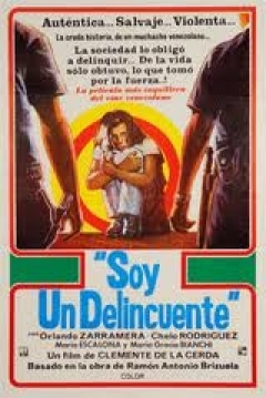 Poster Soy un Delincuente
