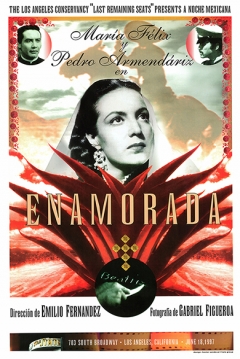 Poster Enamorada