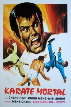 Poster Karate Mortal
