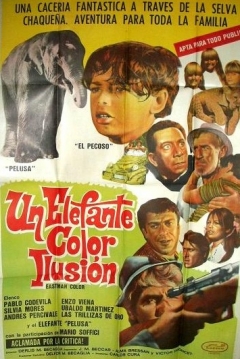 Poster Un Elefante Color Ilusión