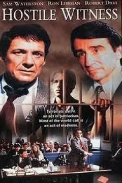 Poster El testigo