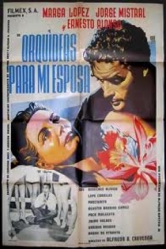 Poster Orquídeas para mi esposa