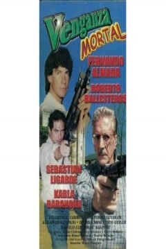 Poster Venganza mortal