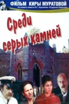Poster Among Grey Stones