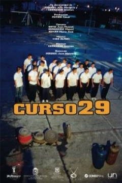 Poster Curso 29