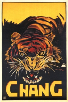 Poster Chang