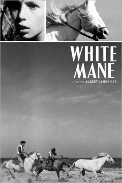 Poster Crin Blanca