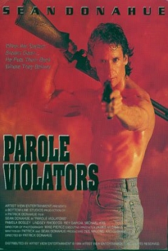 Poster Los Infractores de la Ley