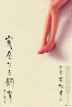 Poster Perfect Education 6