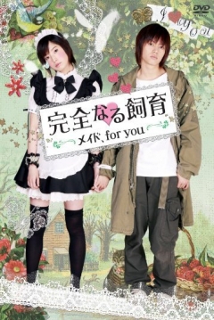 Poster Perfect Education: Maid, For You