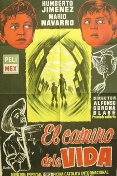 Poster El camino de la vida
