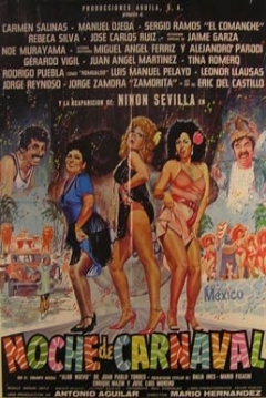 Poster Noche de carnaval