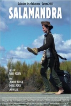 Poster Salamandra