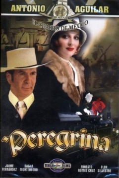 Poster Peregrina