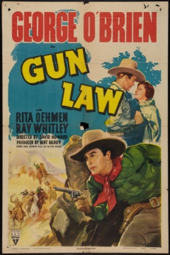 Poster Gun Law