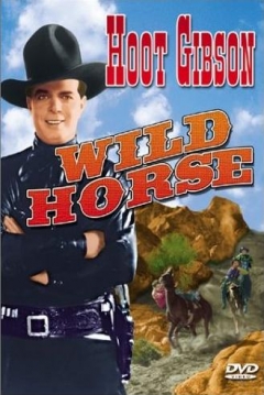 Poster Wild Horse