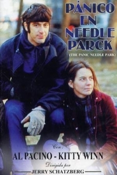 Poster Pánico en Needle Park 