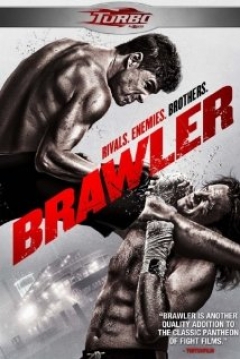 Poster Brawler