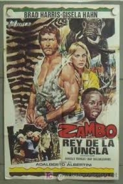 Poster Zambo, Rey de la Jungla