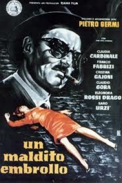 Poster Un Maldito Embrollo