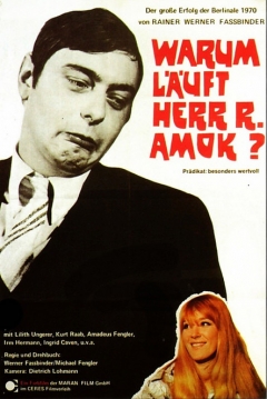 Poster ¿Por qué le da el Ataque de Locura al Señor R.?