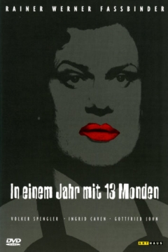 Poster Un Año con Trece Lunas