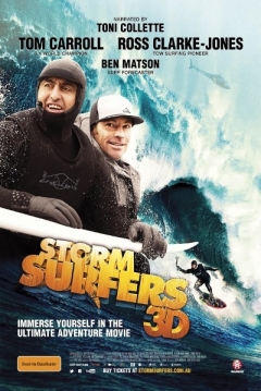 Poster Storm Surfers 3D